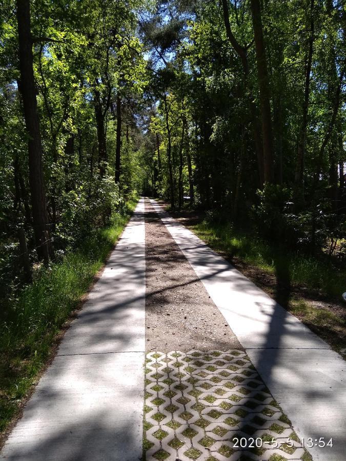 Brecht Holiday Home Harmony מראה חיצוני תמונה