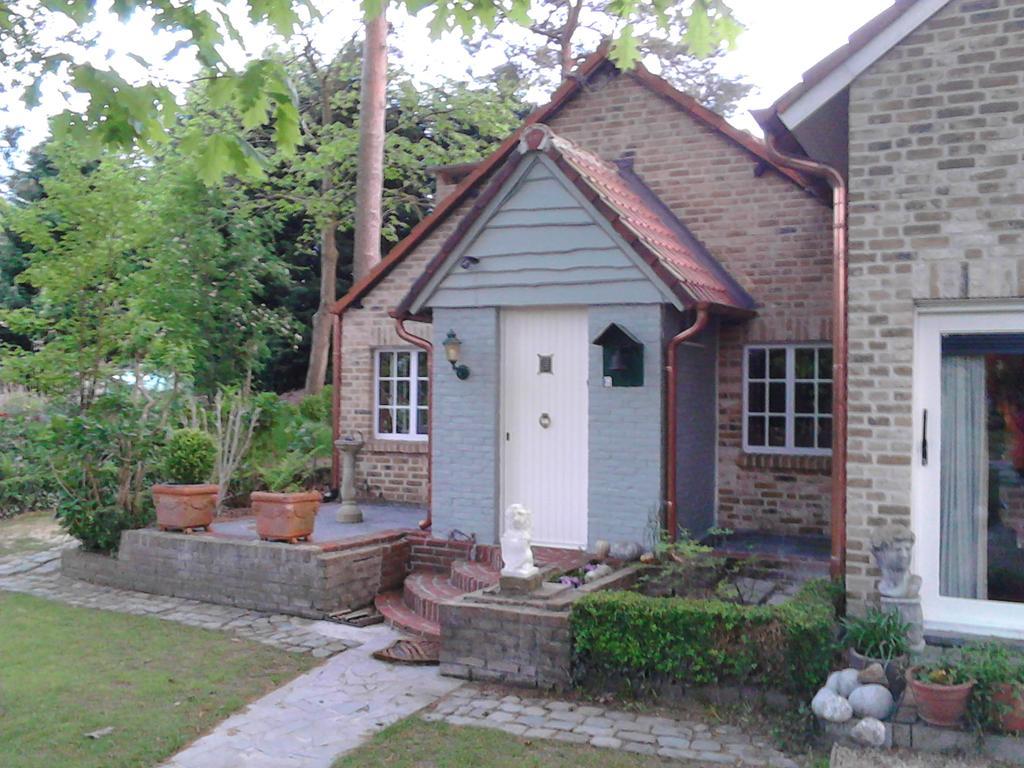 Brecht Holiday Home Harmony מראה חיצוני תמונה